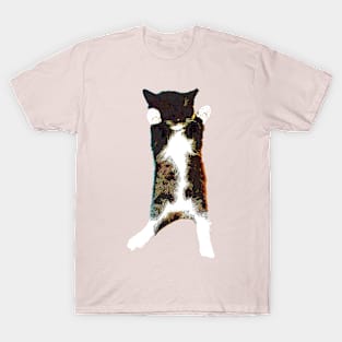 Sweet, sleepy kitten T-Shirt